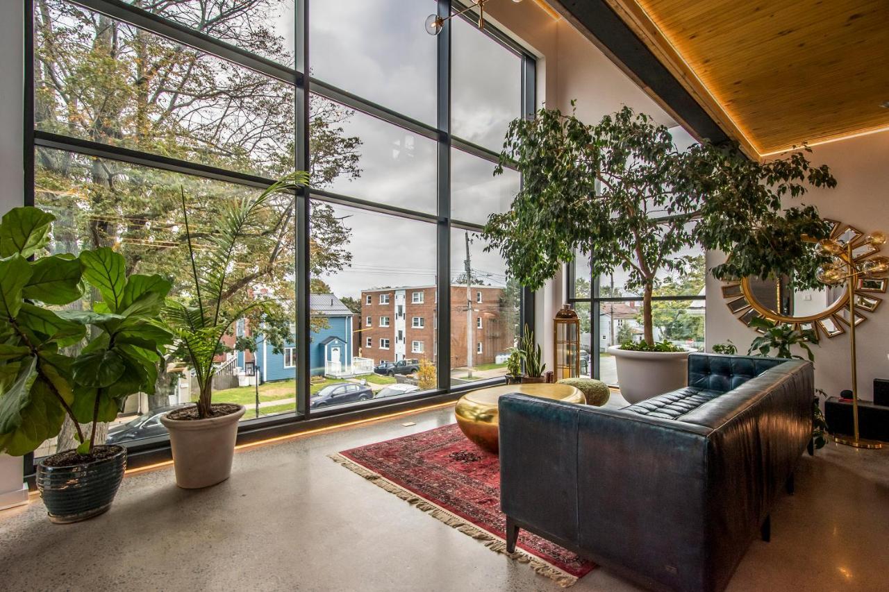 The Halifax Rooftop - Cozy Spa B&B Esterno foto